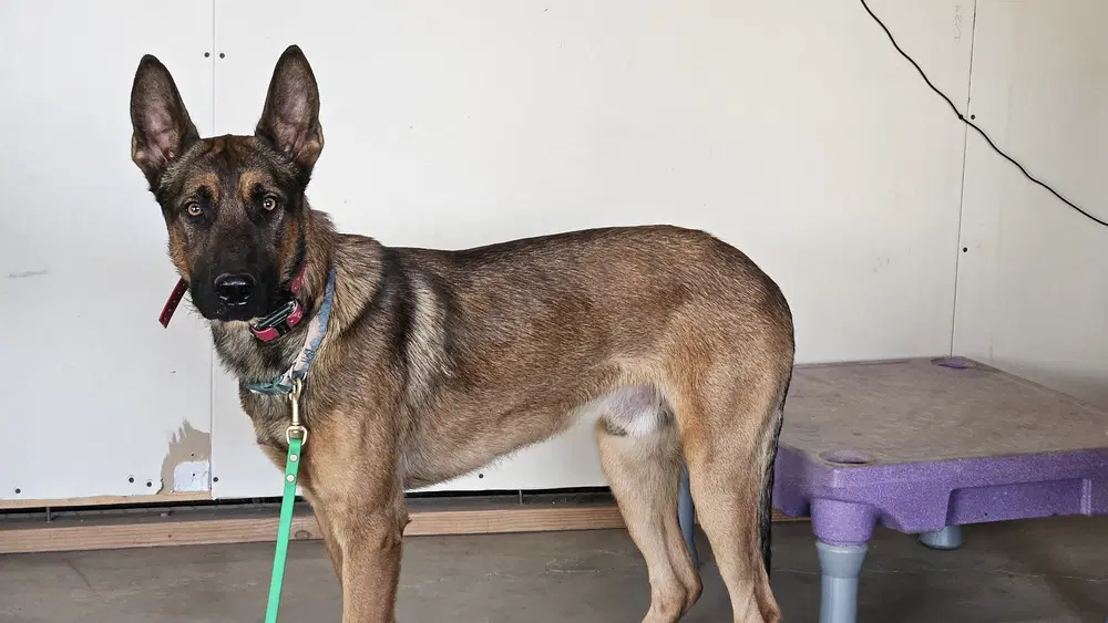 Marty - Located In Co image 4