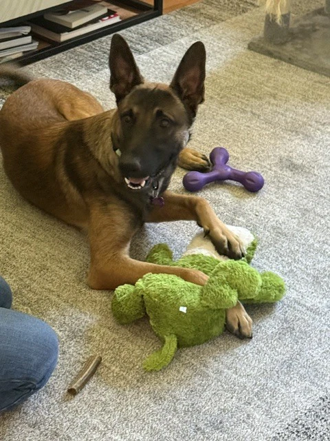 Rambo Located In California