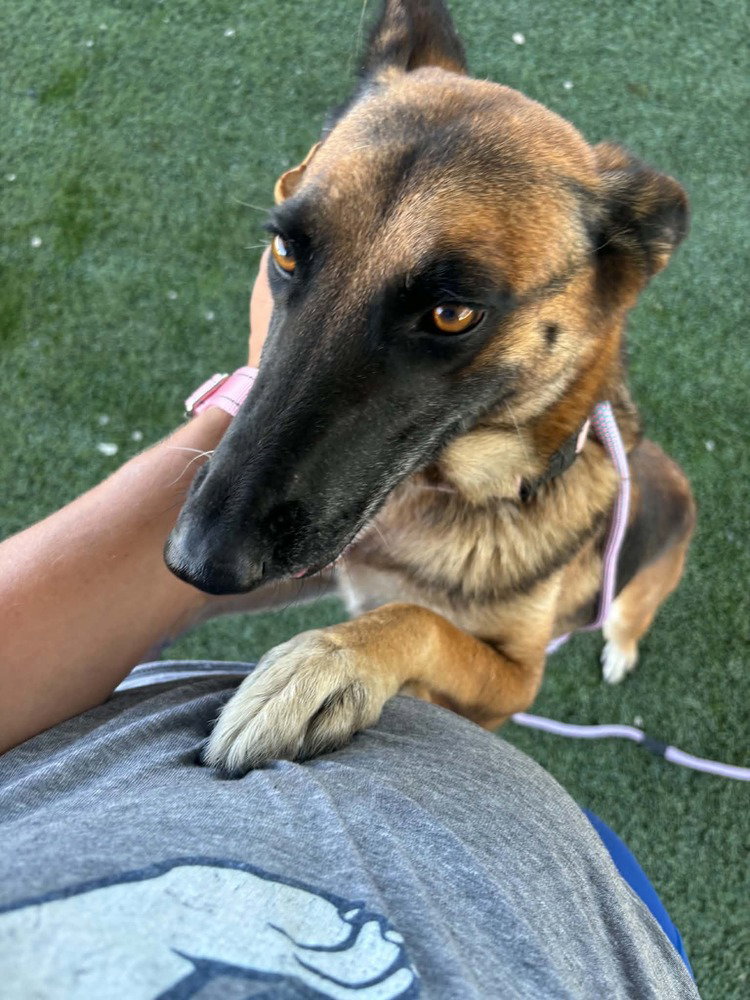 Sabrina in California