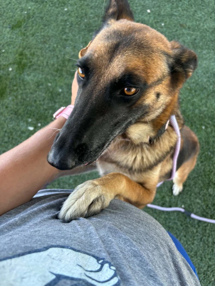 Sabrina Spellman Nka Leila In California