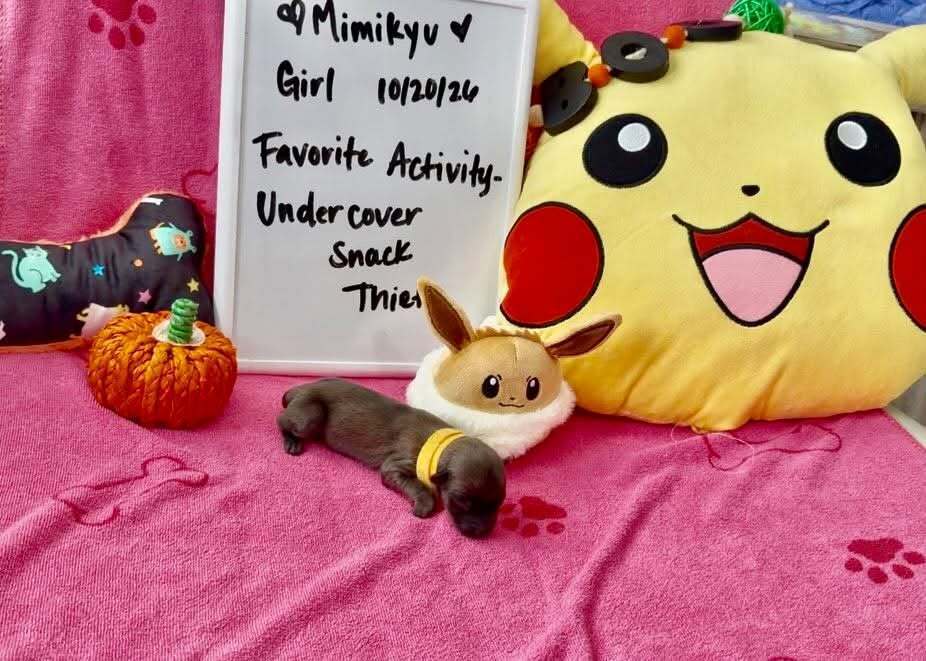 Pokemon - Baby Mimikyu - Located in Arizona
