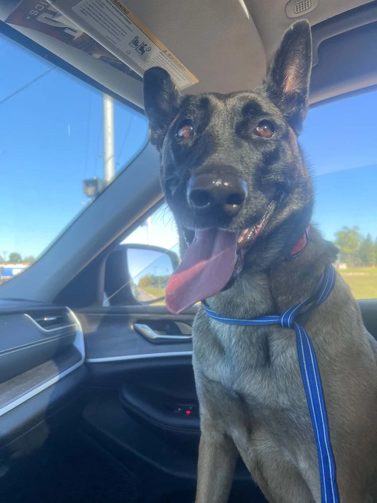 Remi Located In Il