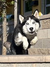 Charles - Photo 4
