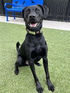 Jack - Photo 1
