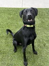 Jack - Photo 2