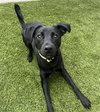 Jack - Photo 3