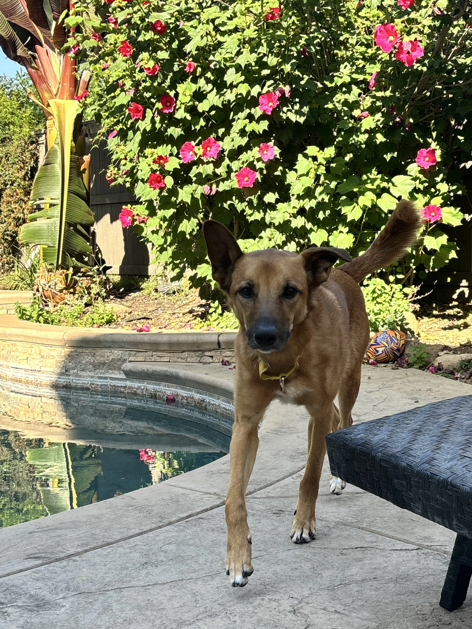 Zeus