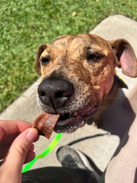 Coco