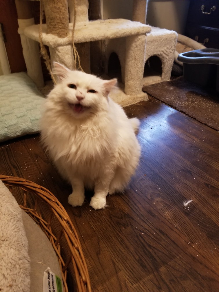 Randall