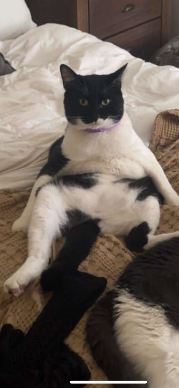 Gus