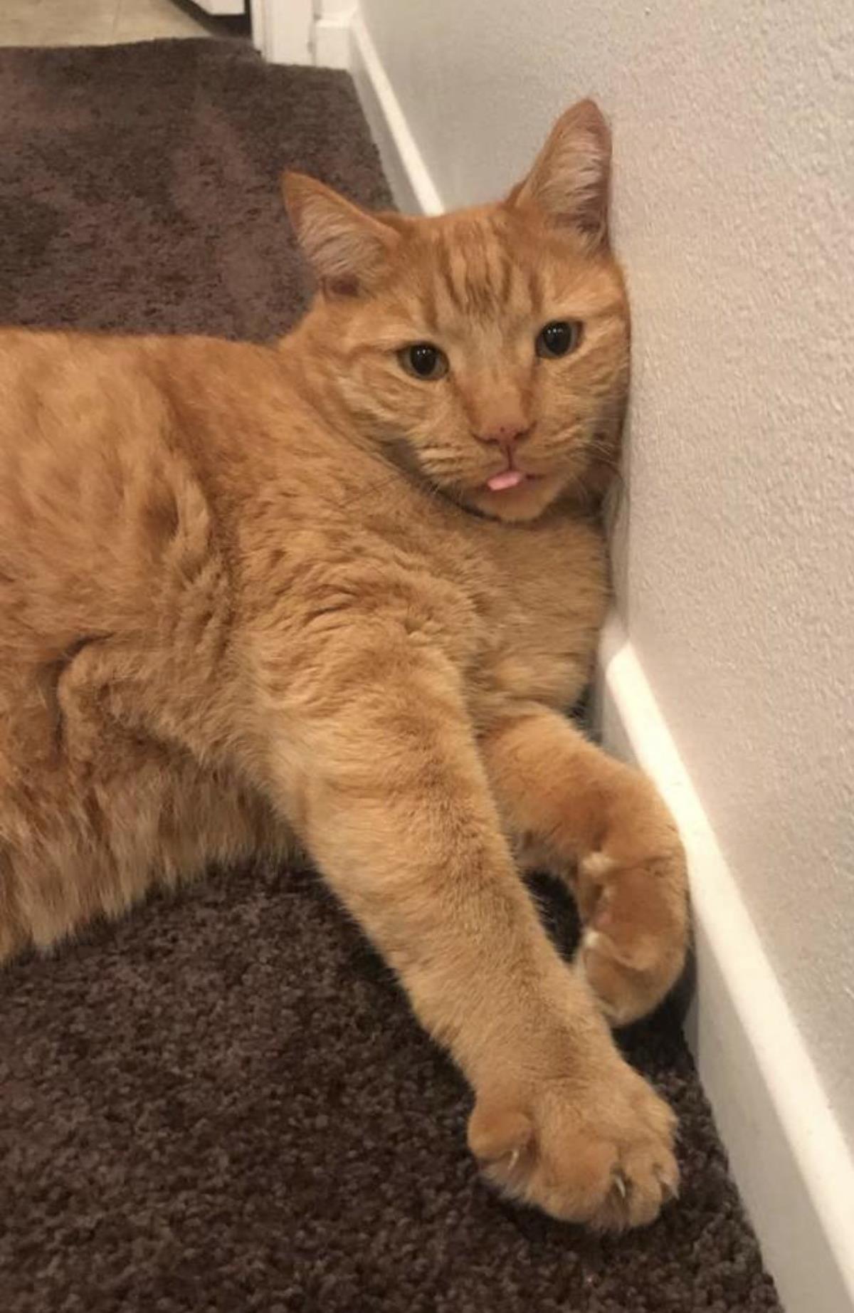 Tigger