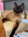 Beeker - Photo 1