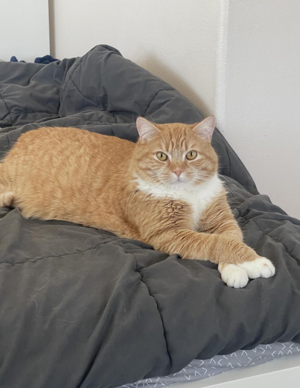 Simon