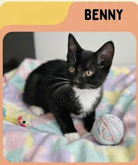 Benny