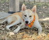 Mercury - Photo 2