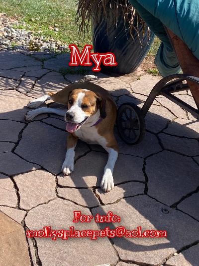Mya