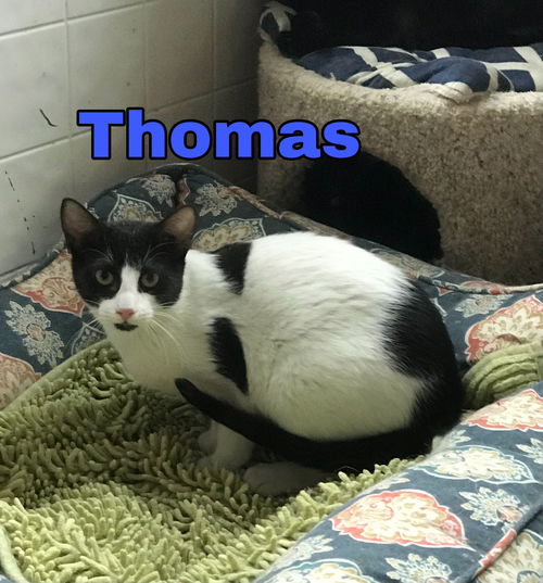 Thomas