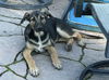 Ryker