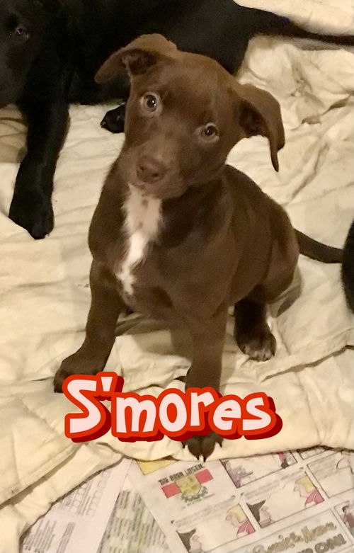 S’mores