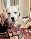Bumble