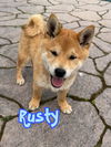 Rusty