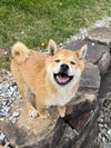 Rusty