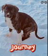 Journey