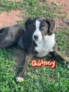 Quincy