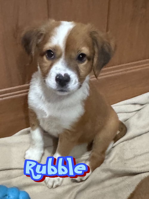 Rubble