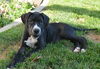 Hudson