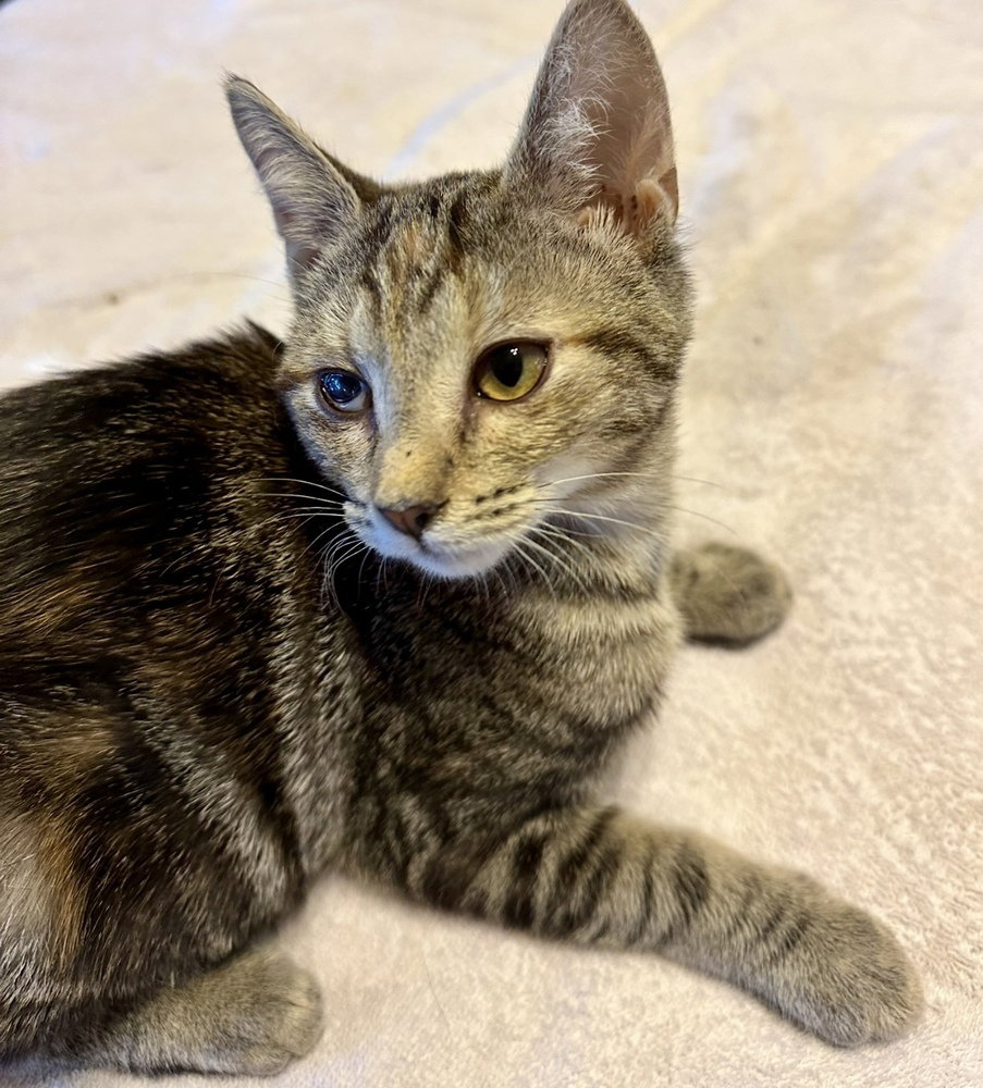 Riley Image
