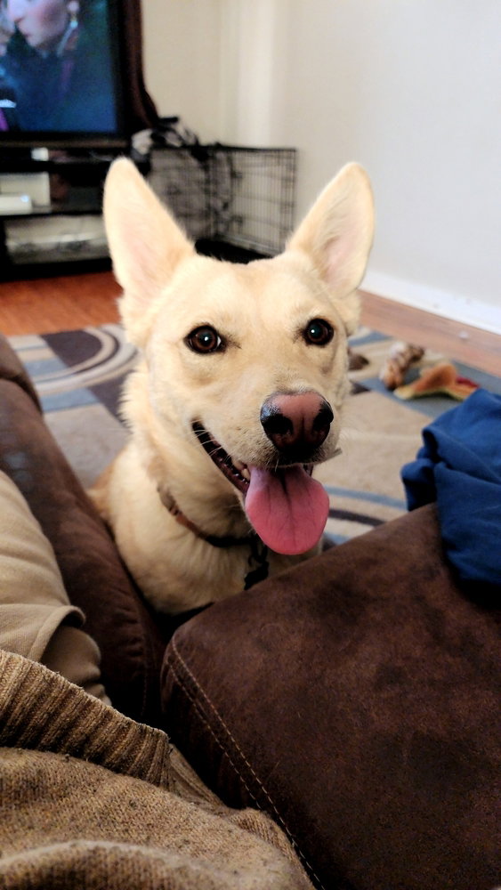 Chloe Image