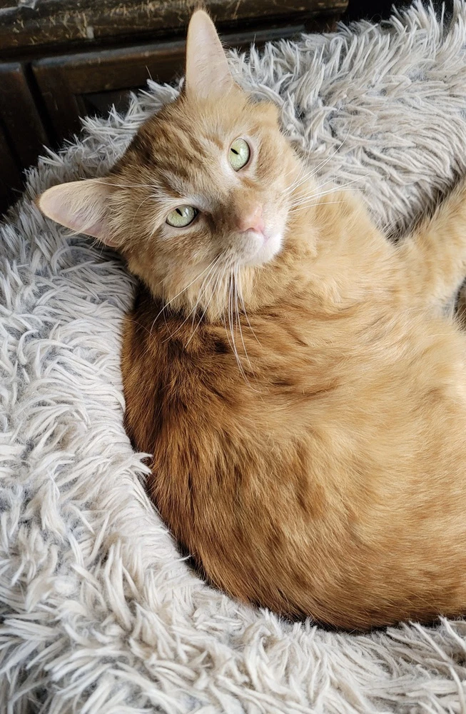 Jax