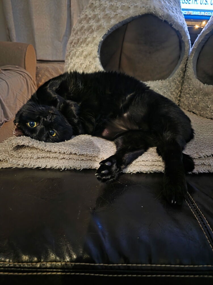 Mimi, photo 4