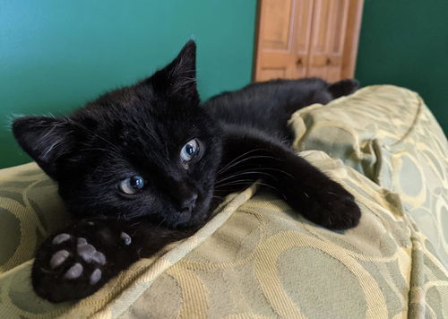 Sebastian