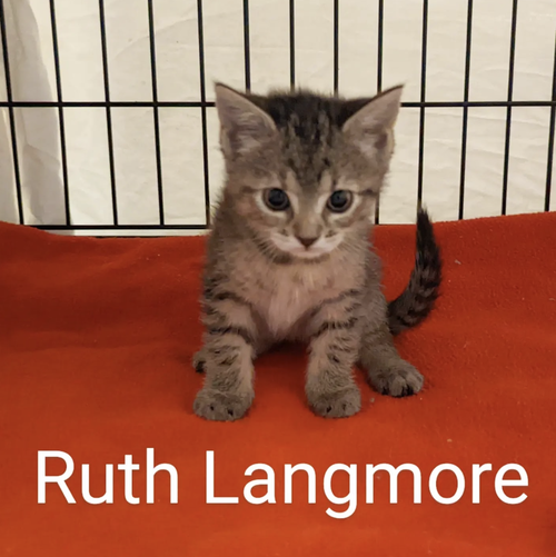 Ruth Langmore