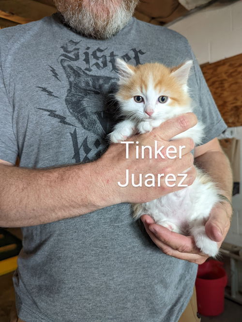 Tinker Juarez