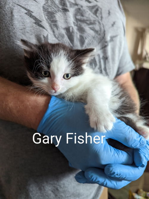 Gary Fisher