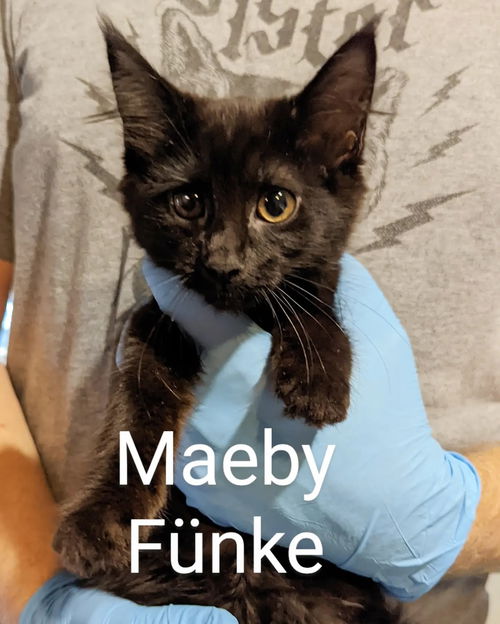 Maeby Fünke