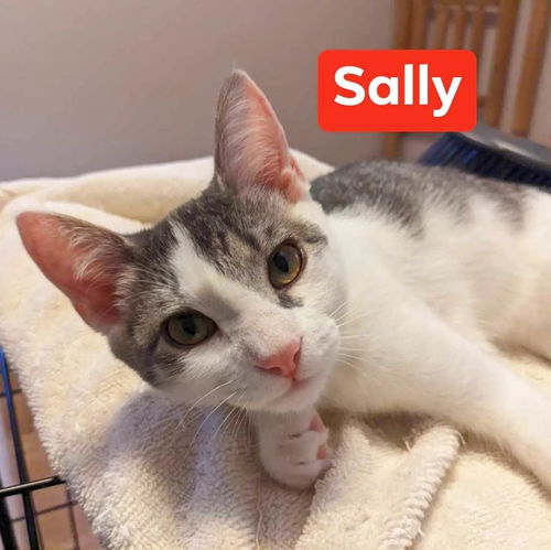 Sally