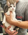 Sally