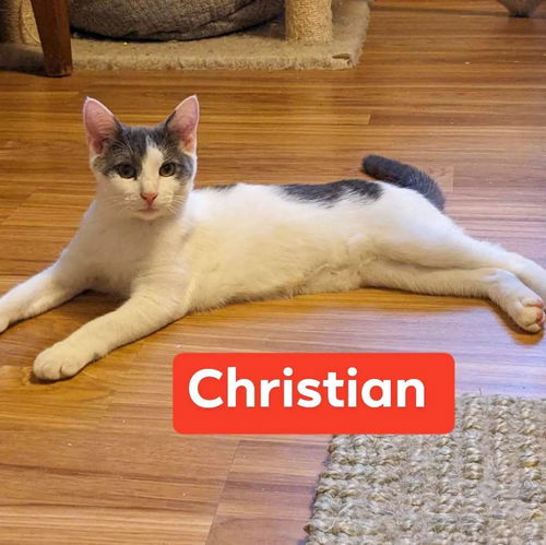 Christian