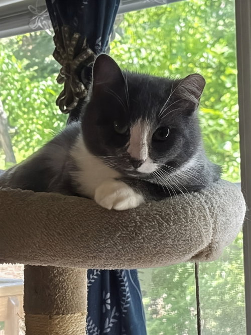 Photo 3 of Nova