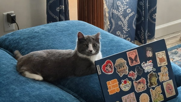 Nova