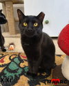 KiKi - Photo 2