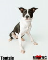 Tootsie - Photo 1
