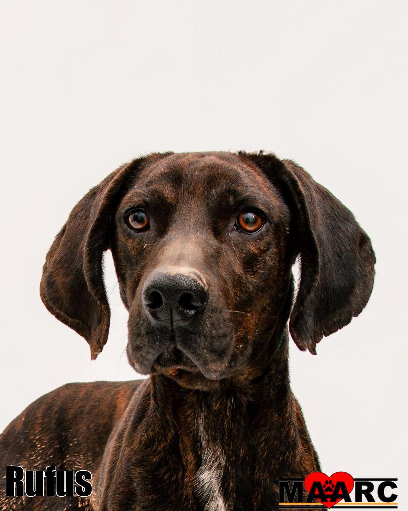 Rufus Image