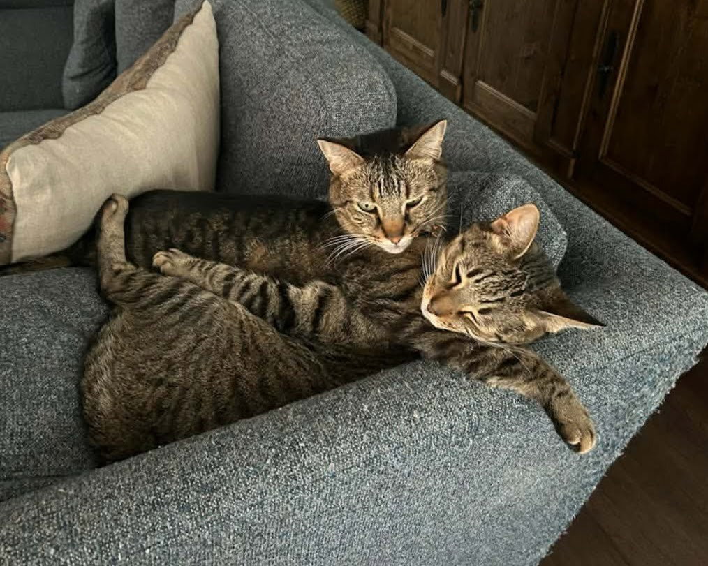 Cooper / Tucker