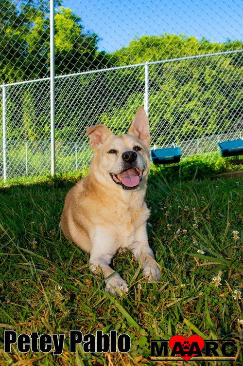 Petey Pablo photo 3