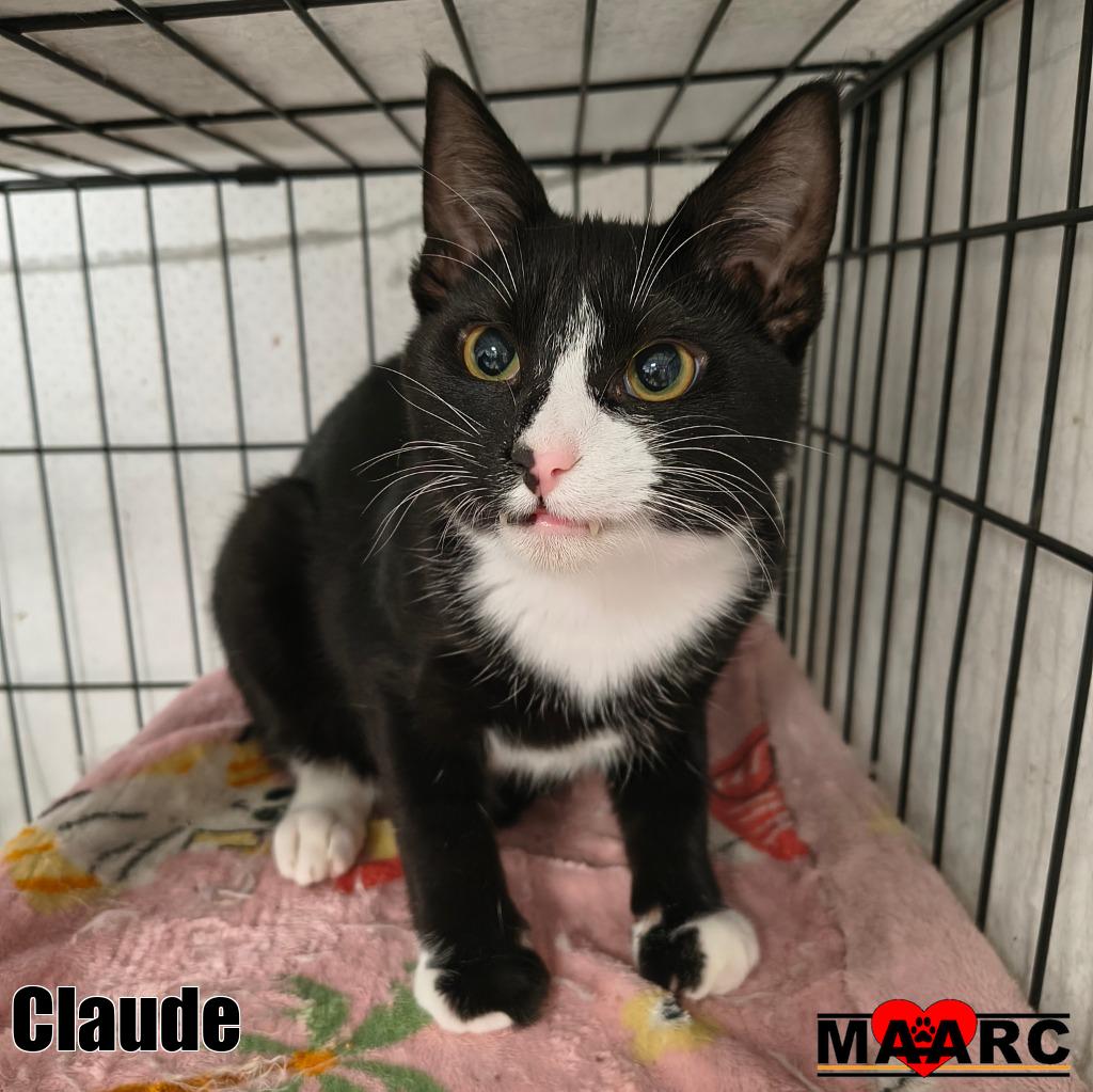 Claude